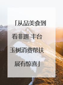 从品美食到看非遗 丰台玉树消费帮扶展有惊喜