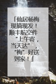 仙居杨梅现摘现发！顺丰航空件“上午寄，当天达”，“梅”好送到家！