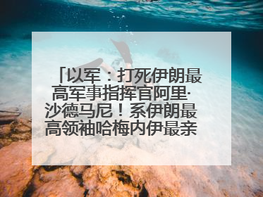 以军：打死伊朗最高军事指挥官阿里·沙德马尼！系伊朗最高领袖哈梅内伊最亲密的人之一