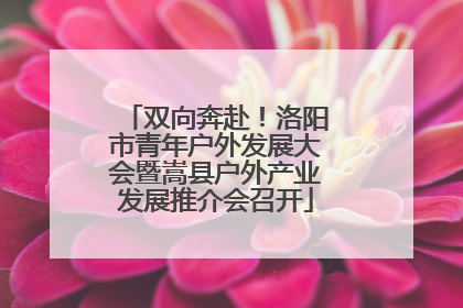 双向奔赴！洛阳市青年户外发展大会暨嵩县户外产业发展推介会召开