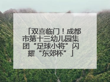 双喜临门！成都市第十三幼儿园集团“足球小将”闪耀“东郊杯”
