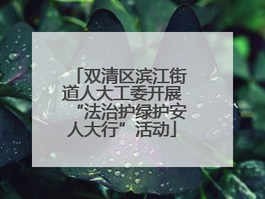 双清区滨江街道人大工委开展“法治护绿护安人大行”活动