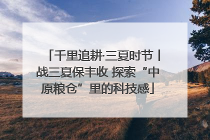 千里追耕·三夏时节丨战三夏保丰收 探索“中原粮仓”里的科技感