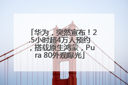 华为，突然宣布！2.5小时超4万人预约，搭载原生鸿蒙，Pura 80外观曝光