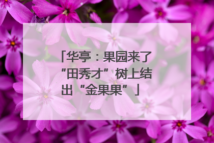 华亭：果园来了“田秀才”树上结出“金果果”