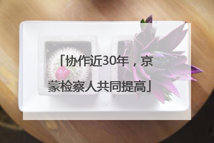 协作近30年，京蒙检察人共同提高