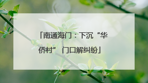 南通海门：下沉“华侨村” 门口解纠纷
