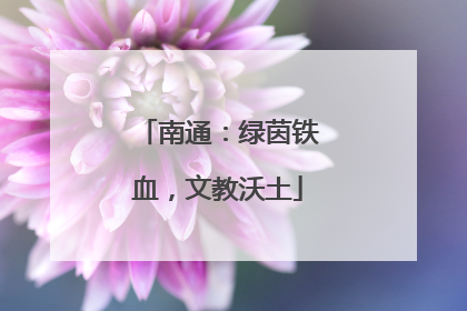 南通：绿茵铁血，文教沃土