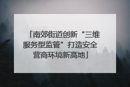南郊街道创新“三维服务型监管”打造安全营商环境新高地