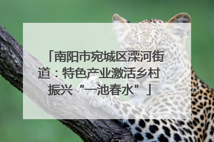南阳市宛城区溧河街道：特色产业激活乡村振兴“一池春水”
