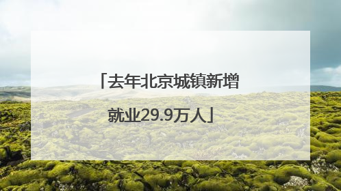 去年北京城镇新增就业29.9万人
