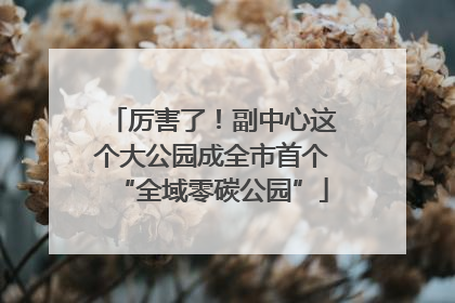 厉害了！副中心这个大公园成全市首个“全域零碳公园”