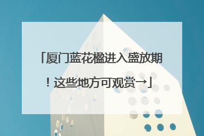 厦门蓝花楹进入盛放期！这些地方可观赏→