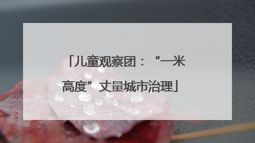 儿童观察团：“一米高度”丈量城市治理