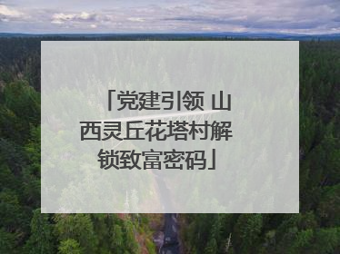 党建引领 山西灵丘花塔村解锁致富密码