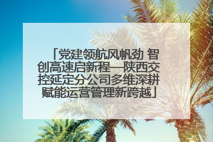 党建领航风帆劲 智创高速启新程—陕西交控延定分公司多维深耕赋能运营管理新跨越