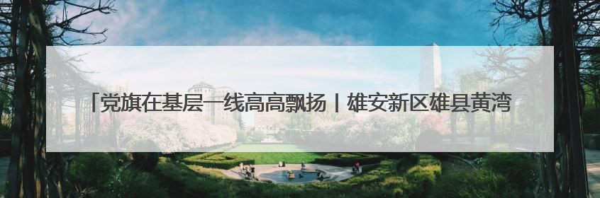 党旗在基层一线高高飘扬丨雄安新区雄县黄湾村党支部：在老百姓心里，筑起“一座山”