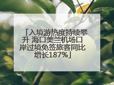 入境游热度持续攀升 海口美兰机场口岸过境免签旅客同比增长187%