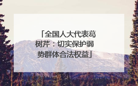 全国人大代表葛树芹：切实保护弱势群体合法权益