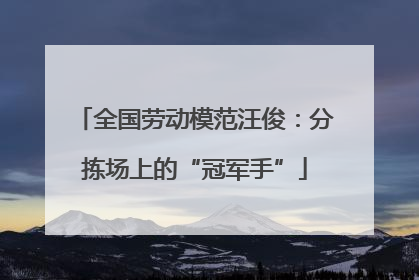 全国劳动模范汪俊：分拣场上的“冠军手”