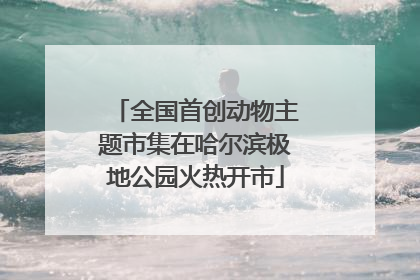 全国首创动物主题市集在哈尔滨极地公园火热开市