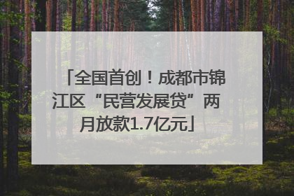全国首创！成都市锦江区“民营发展贷”两月放款1.7亿元