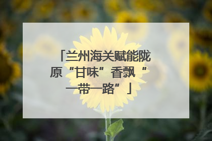 兰州海关赋能陇原“甘味”香飘“一带一路”