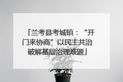 兰考县考城镇：“开门来协商”以民主共治破解基层治理难题