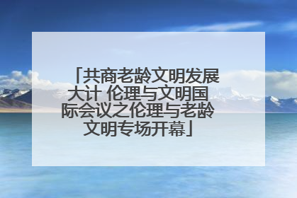 共商老龄文明发展大计 伦理与文明国际会议之伦理与老龄文明专场开幕