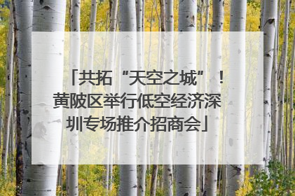 共拓“天空之城”！黄陂区举行低空经济深圳专场推介招商会