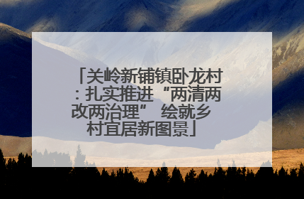 关岭新铺镇卧龙村：扎实推进“两清两改两治理” 绘就乡村宜居新图景