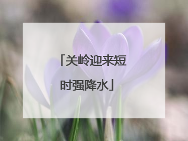 关岭迎来短时强降水