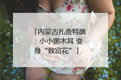 内蒙古扎赉特旗：小小黑木耳 变身“致富花”