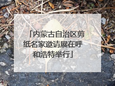内蒙古自治区剪纸名家邀请展在呼和浩特举行