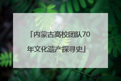 内蒙古高校团队70年文化遗产探寻史