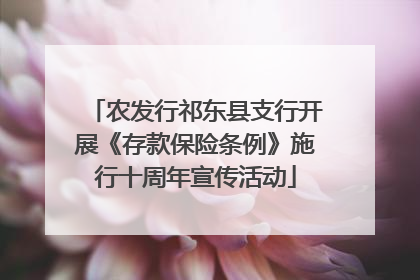 农发行祁东县支行开展《存款保险条例》施行十周年宣传活动