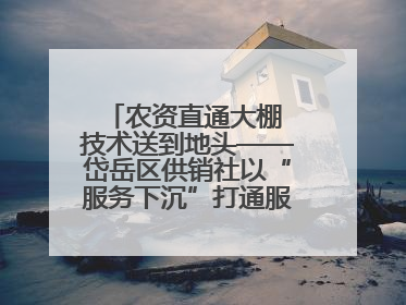 农资直通大棚 技术送到地头——岱岳区供销社以“服务下沉”打通服务“三农”最后一公里