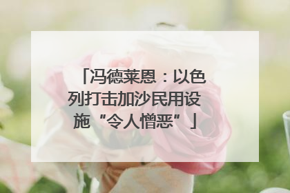 冯德莱恩：以色列打击加沙民用设施“令人憎恶”