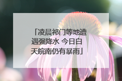 凌晨祁门等地遭遇强降水 今日白天皖南仍有暴雨