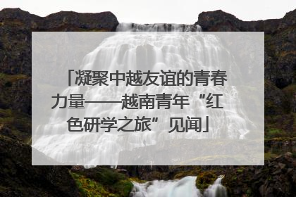 凝聚中越友谊的青春力量——越南青年“红色研学之旅”见闻