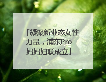 凝聚新业态女性力量，浦东Pro妈妈妇联成立
