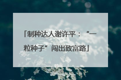 制种达人谢许平：“一粒种子”闯出致富路