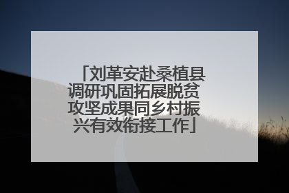 刘革安赴桑植县调研巩固拓展脱贫攻坚成果同乡村振兴有效衔接工作