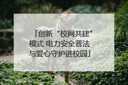 创新“校网共建”模式 电力安全普法与爱心守护进校园