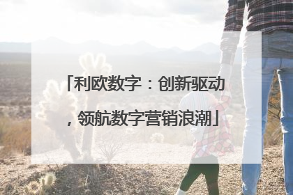 利欧数字：创新驱动，领航数字营销浪潮