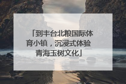 到丰台北粮国际体育小镇，沉浸式体验青海玉树文化