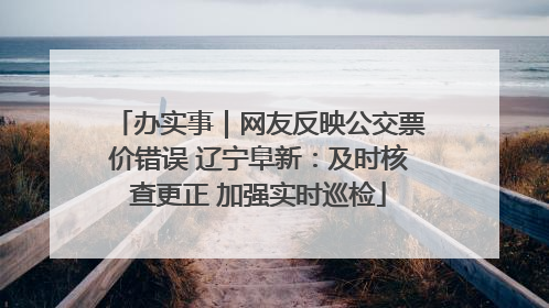 办实事|网友反映公交票价错误 辽宁阜新:及时核查更正 加强实时巡检