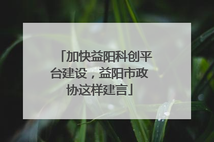加快益阳科创平台建设，益阳市政协这样建言