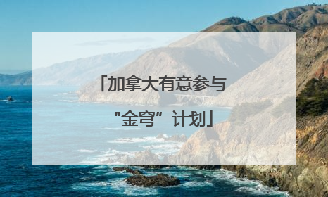 加拿大有意参与“金穹”计划