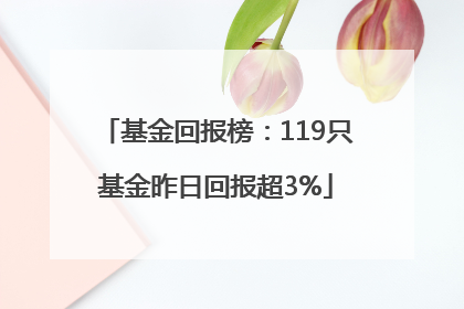 基金回报榜：119只基金昨日回报超3%